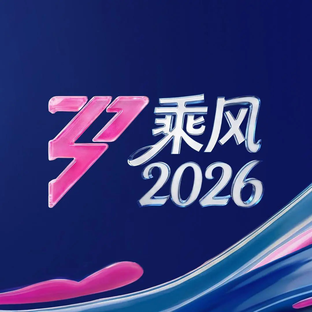 乘风2026——电视剧佳期如梦结局