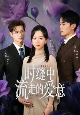 时缝中流走的爱意——叶问1电影
