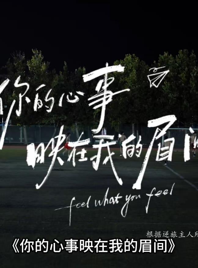 你的心事映在我的眉间——盛夏晚晴天电视剧